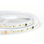 24V SMD2835 SPI BLANCO ÚNICO